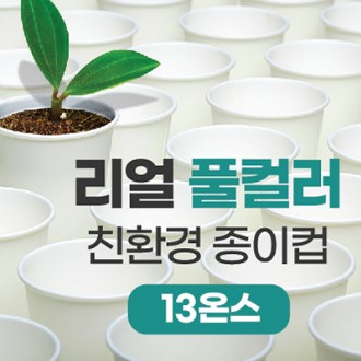 ����Ǯ�÷� ģȯ�� ������ 13�½�