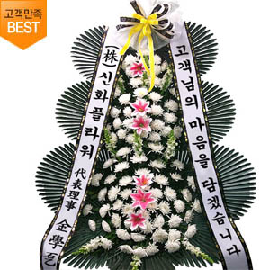 ���� ȭȯ 3�� [������- B] 